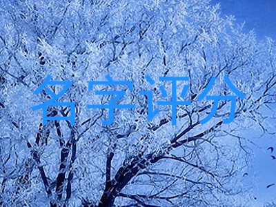 名字评分