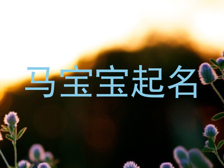 马宝宝取名