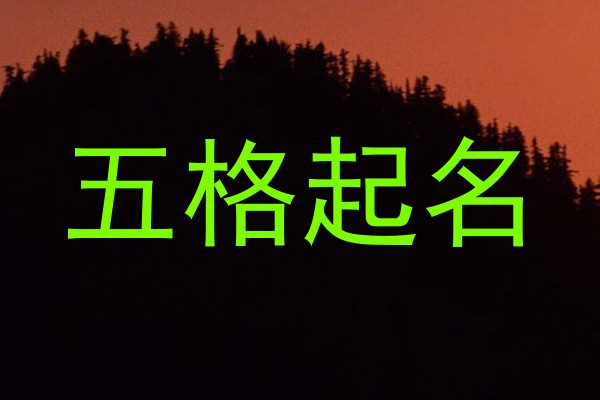 五格起名