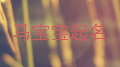 马宝宝起名