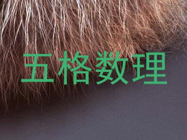 五格数理