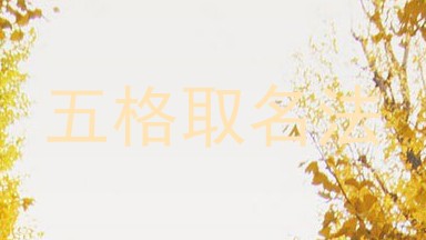 五格取名法