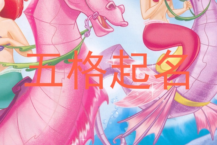 五格起名