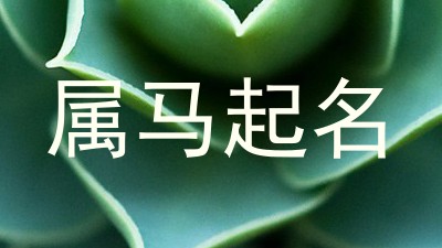 属马起名