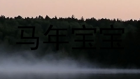 马年宝宝