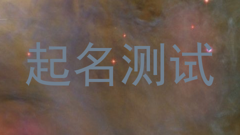 起名测试