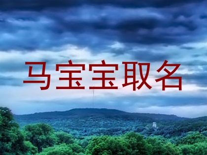 马宝宝取名
