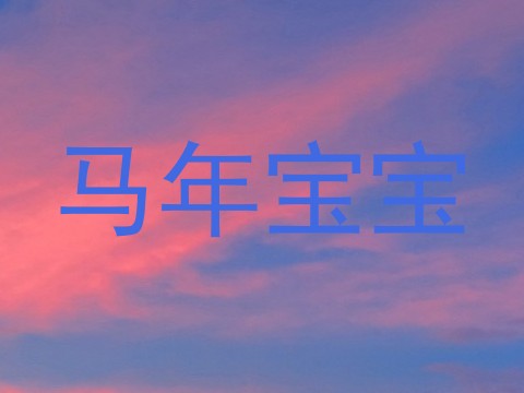 马年宝宝