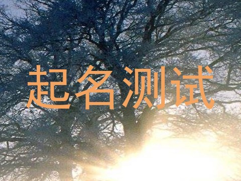 起名测试