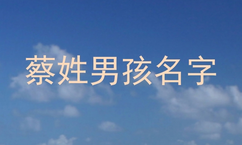 蔡姓男孩名字