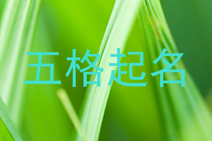 五格起名