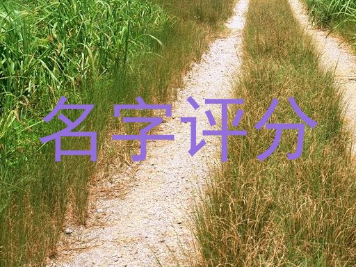 名字评分