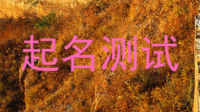 起名测试