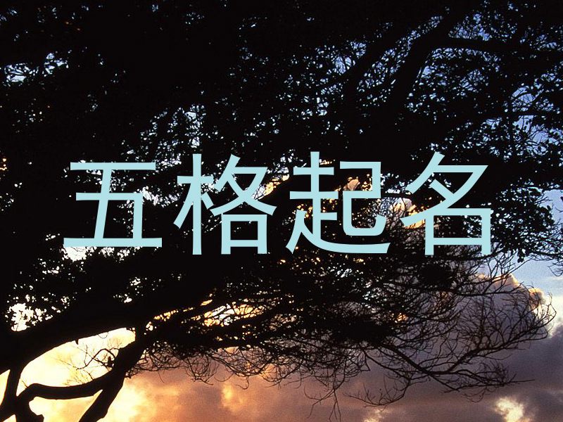 五格起名