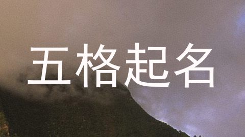 五格起名