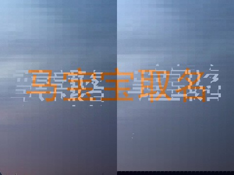 马宝宝取名