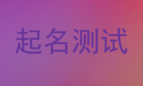 起名测试