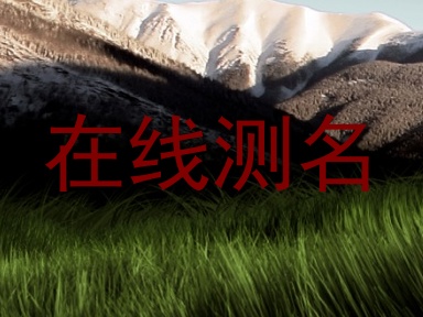 在线测名