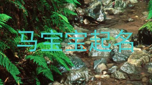 马宝宝起名