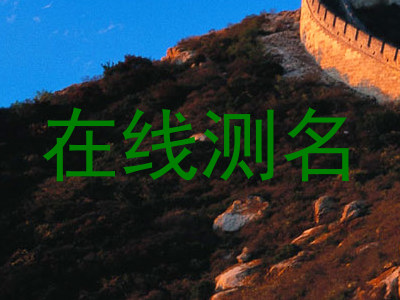 在线测名