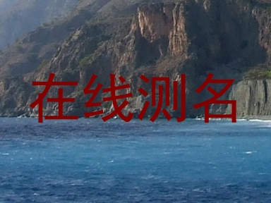 在线测名