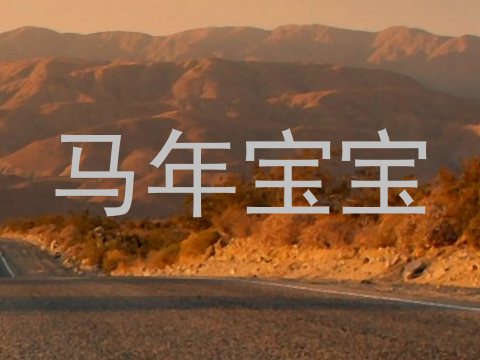 马年宝宝