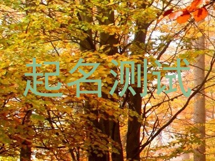 起名测试