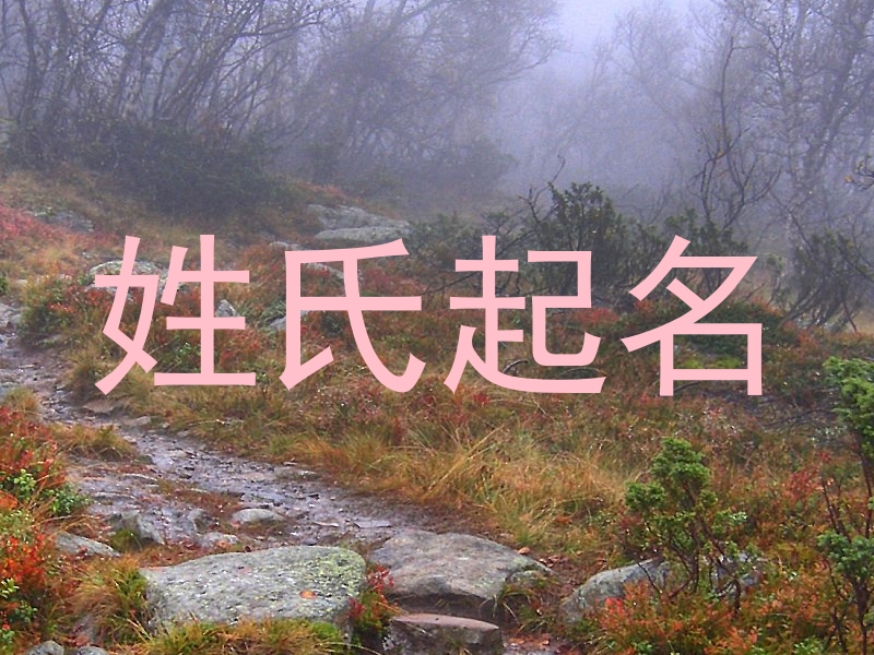 姓氏起名