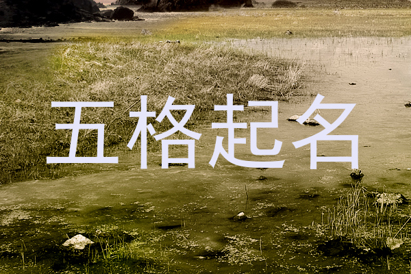 五格起名