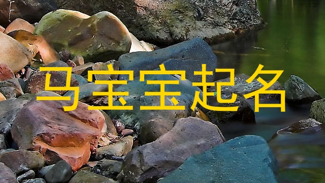 马宝宝起名