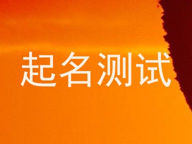 起名测试