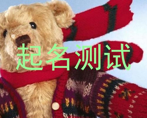 起名测试