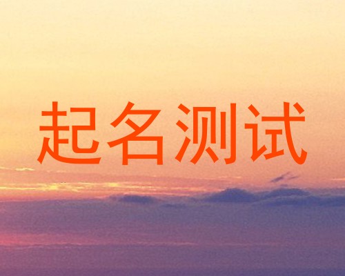 起名测试