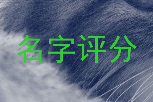 名字评分