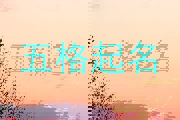 五格起名