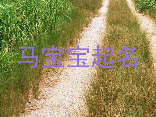 马宝宝起名