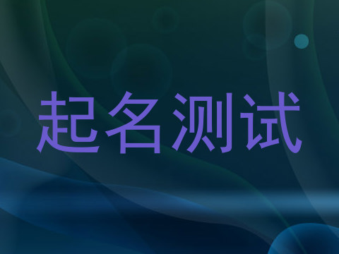 起名测试