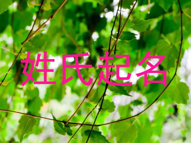 姓氏起名