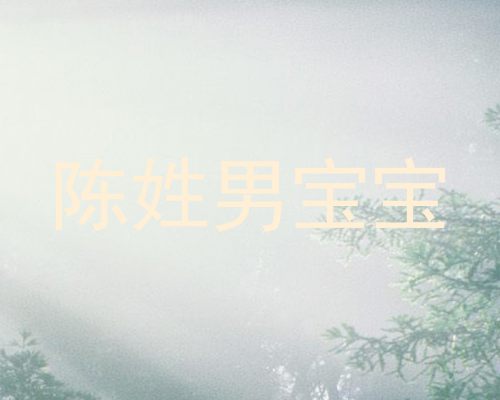 陈姓男宝宝