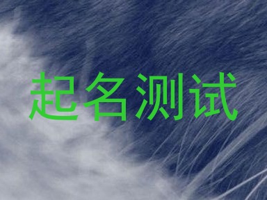 起名测试