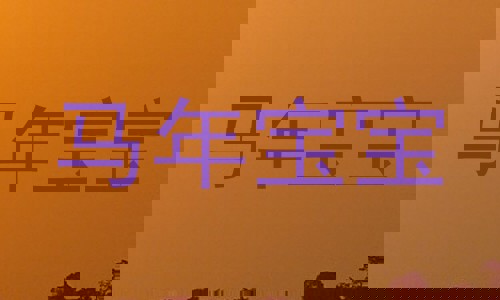 马年宝宝