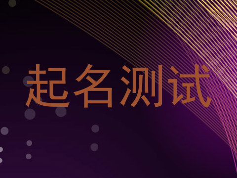 起名测试