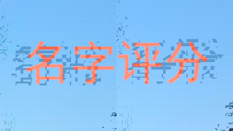 名字评分