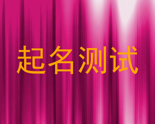 起名测试