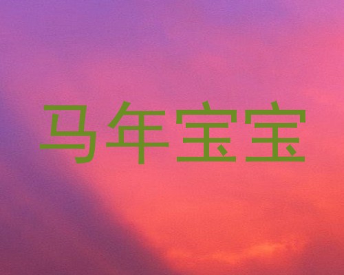 马年宝宝