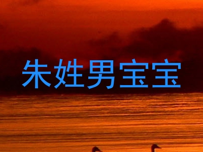 朱姓男宝宝