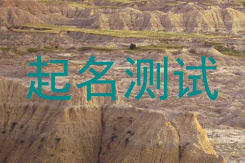 起名测试