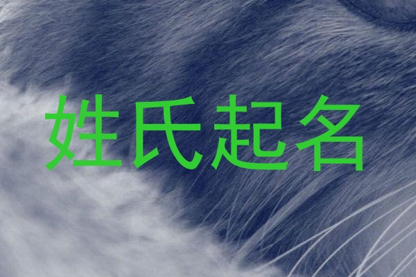 姓氏起名