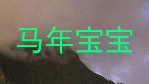 马年宝宝