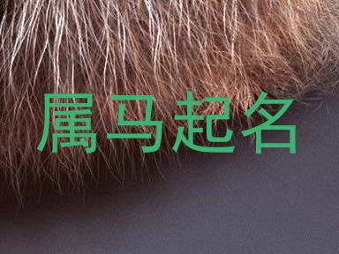 属马起名